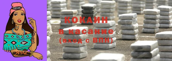 spice Гусев