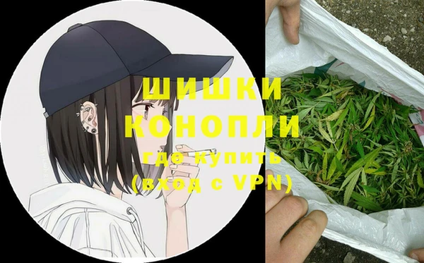 spice Гусев