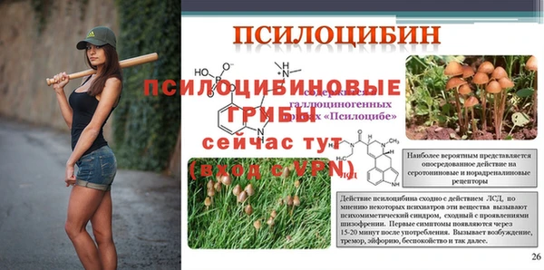 мет Гусиноозёрск
