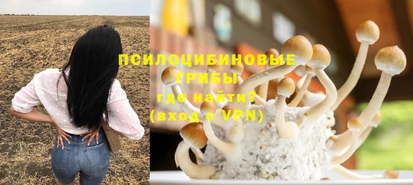 spice Гусев