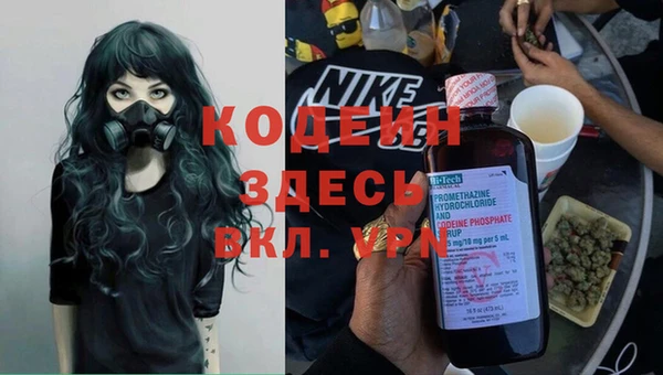 spice Гусев
