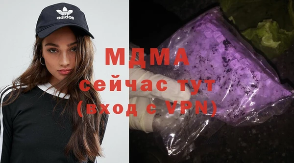 spice Гусев