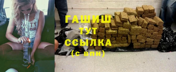 spice Гусев