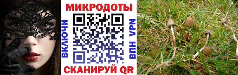 сколько стоит  hydra вход  Псилоцибиновые грибы мухоморы  Мантурово 